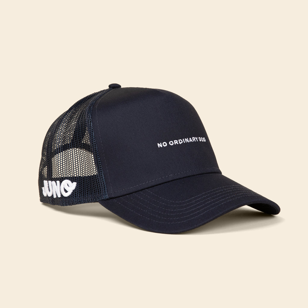 No Ordinary Dog Trucker Hat | Navy