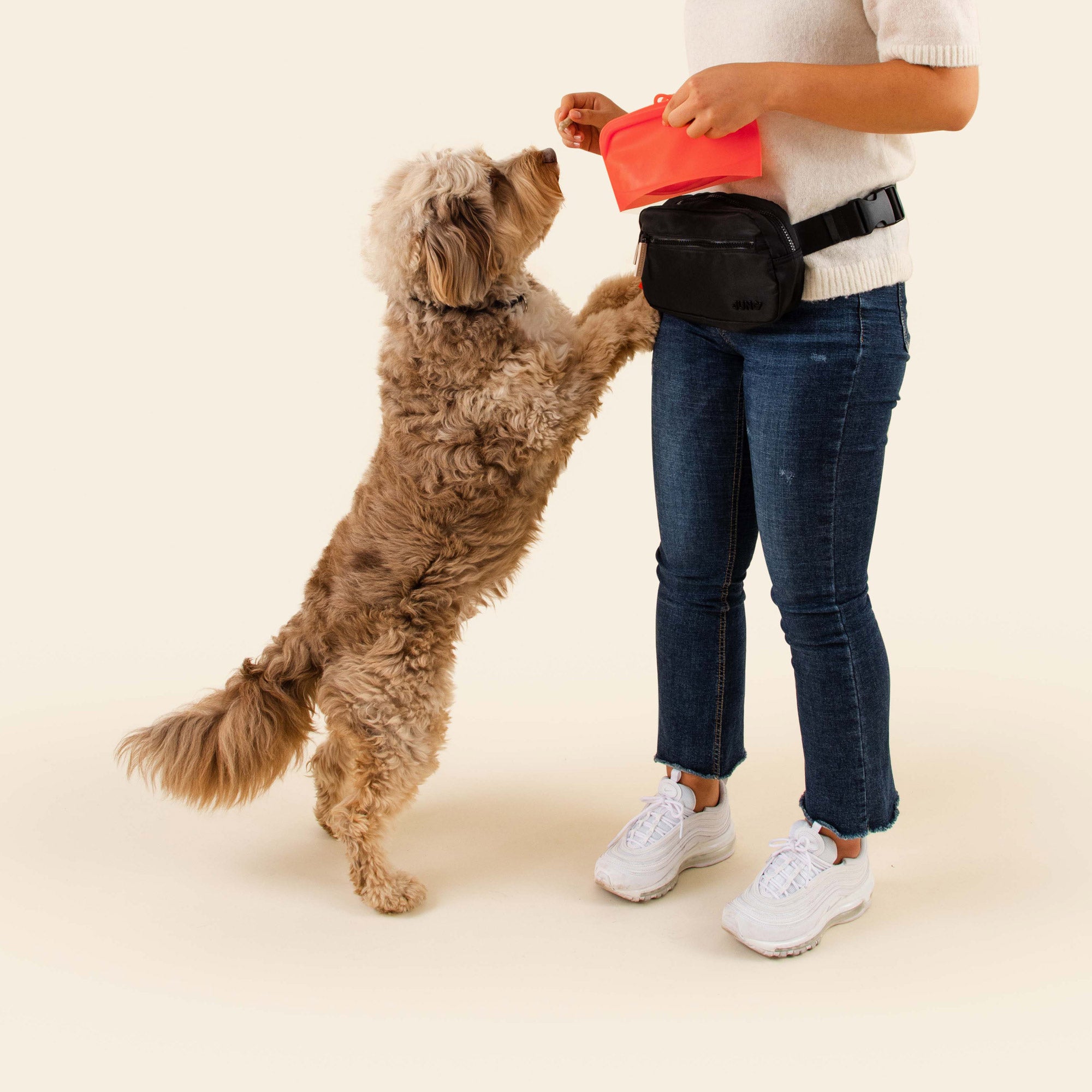 Amazon.com | XYMZR Dog City Backpack Travel Laptop Daypack